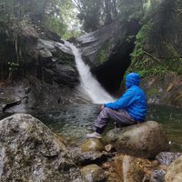wayanadvibes