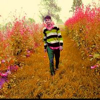____tx_mangu____