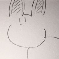 nousagiomi