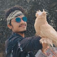 sonuwaghari