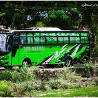 alvinjoseph8055