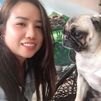 nhạc nền - Vịt Nhựa