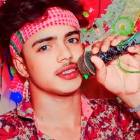 নিজস্ব শব্দ