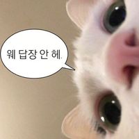 오리지널 사운드 - 방구석클럽러