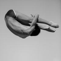 osakana_diver