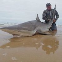 wilhelmhookedonfishing