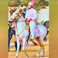 shamrozgujjar58