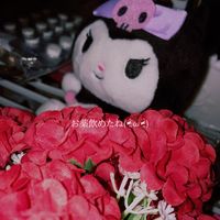 ペットショップラブモーション