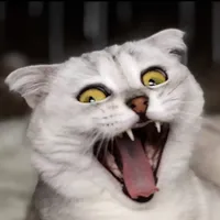 original sound - sonyakisa8