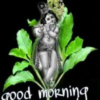 krishna.sreejith