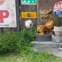 オリジナル楽曲 - ナナトン🐷(7豚)