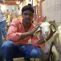 user35022847hemanth