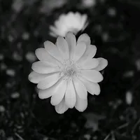 gặp người đúng lúc