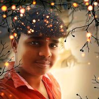 thamaraikannan941