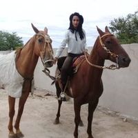 camupaisa22