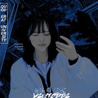vynn_xa