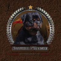 rottweiler_dmartinez