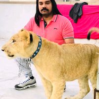 lionbaloch07