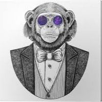 původní zvuk - Gold Monkey