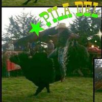 pilamartinez0