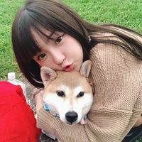 bubu_520