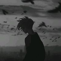 rifatahmed2528