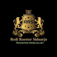 suara asli - Redi Rooster Sidoarjo