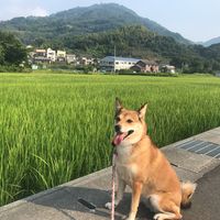 anchan_1223