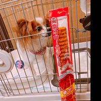 kenken808080