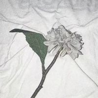 オリジナル楽曲 - とくめー