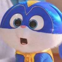 sho._.ppi