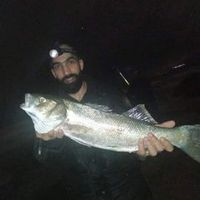 bilaldahbi01