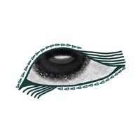 2eye1