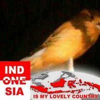 suara asli - Jhon Kenari Malang