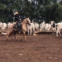 allancarlos267