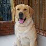 mateo127036