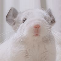 maruchan0301