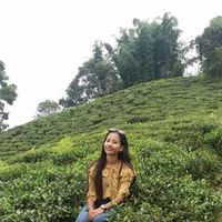 anuradhachaudhary63