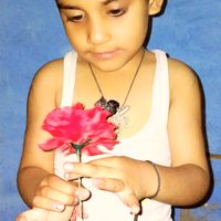 sachayaar1