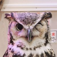 レイヤーさんの写真が見たい