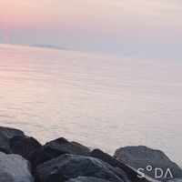 sora.dog0215