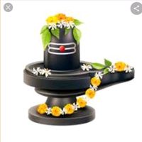 shivan369
