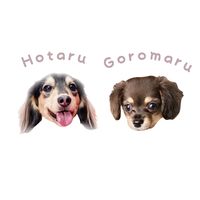 オリジナル楽曲 - ほたまる。ほたる店長と五郎丸