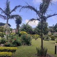 sthendlovu123