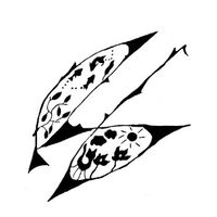 kawahagi15