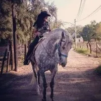 original sound - detodoenelrancho