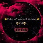 theprincessteam1508