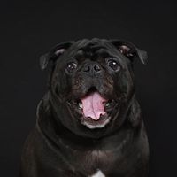 sweetydoku
