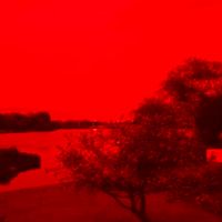 coolsongs228