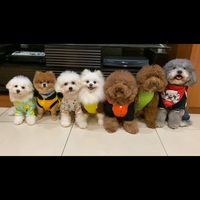 cutepets07